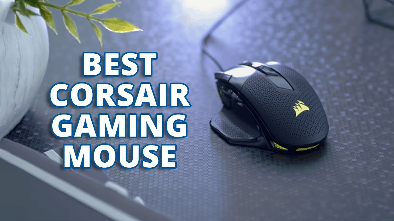 Best Budget Gaming Mouse for Beginners